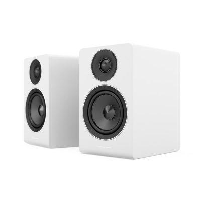 Acoustic Energy AE100