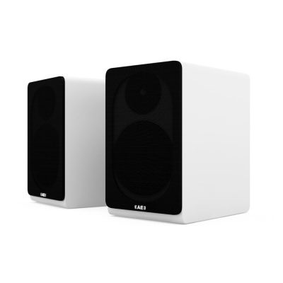 Acoustic Energy AE100