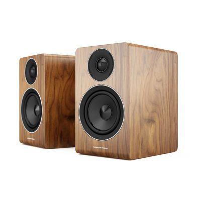 Acoustic Energy AE100