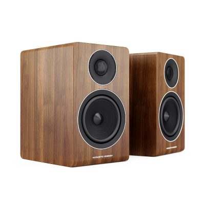 Acoustic Energy AE300