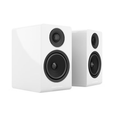 Acoustic Energy AE300