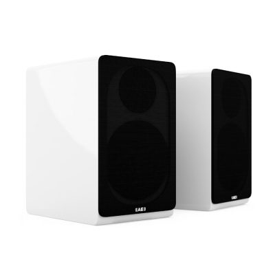 Acoustic Energy AE300